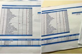 368C8DE2-9199-405D-8B47-2F6C6571900D