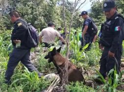 39267029-5F06-416D-87A9-0353525E8C27