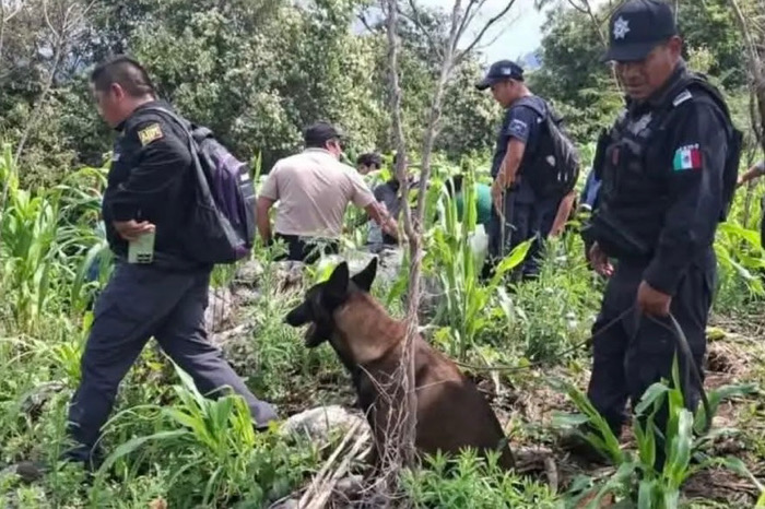 Suman más de dos semanas de búsqueda de Juliana en Tila; no se descarta sustracción