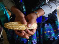 3C958B40-53B6-4439-BED8-79F356609E02