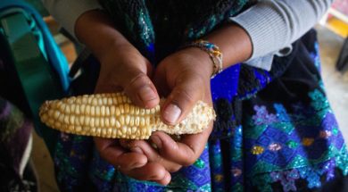 3C958B40-53B6-4439-BED8-79F356609E02