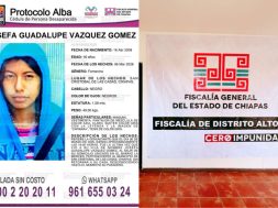 46D2443F-3EEC-4CE1-9B83-0B3A6F2E3E38