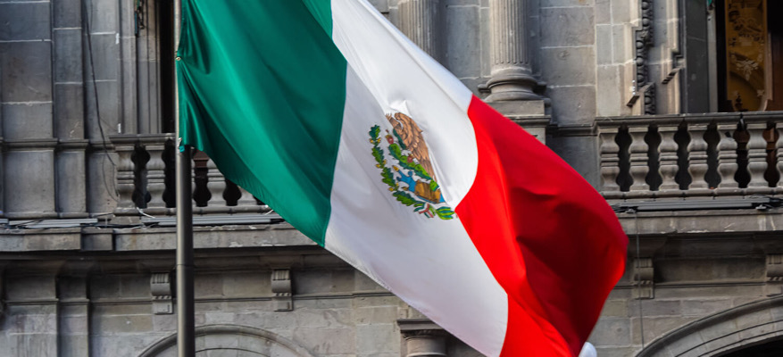 Por nuestro bien / La Feria