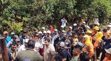 5E03E746-A02F-44FE-AA35-EF4CEBDC4A13