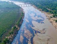 6009AF51-640E-4A7C-B5CD-8F4C9AE250D1