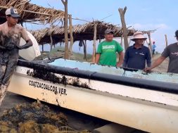 6CEA7FB5-F25E-4109-BA4D-CBE2B59541F3