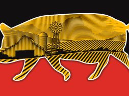 6E71E882-4538-4E5E-A4FB-52EE537E1C08