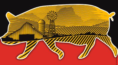 6E71E882-4538-4E5E-A4FB-52EE537E1C08