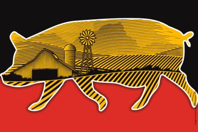 6E71E882-4538-4E5E-A4FB-52EE537E1C08