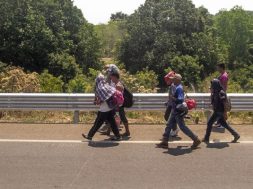 8105B4DF-3C65-4739-8FCC-78BCB303A01B