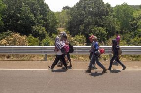 8105B4DF-3C65-4739-8FCC-78BCB303A01B