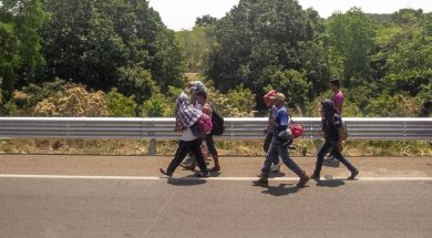 8105B4DF-3C65-4739-8FCC-78BCB303A01B