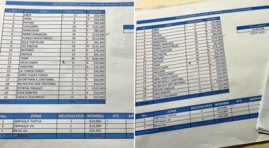 81DE19A9-C5E6-4690-9CE0-11BEDBA86914