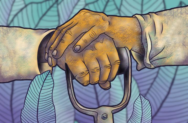 Decolonizar y repensar la terminología educativa en Chiapas / Conciencia y Visión