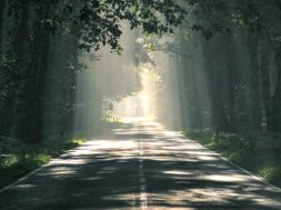 8284D27F-473E-43BA-BB3E-F8244774DBE5