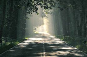 8284D27F-473E-43BA-BB3E-F8244774DBE5