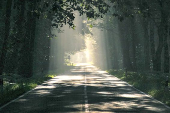 8284D27F-473E-43BA-BB3E-F8244774DBE5