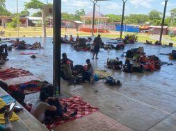 8414C9E4-3344-43DD-A02C-AA3C342DCFBE