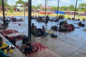 8414C9E4-3344-43DD-A02C-AA3C342DCFBE