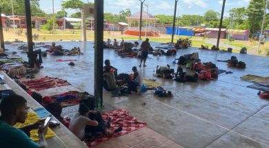 8414C9E4-3344-43DD-A02C-AA3C342DCFBE