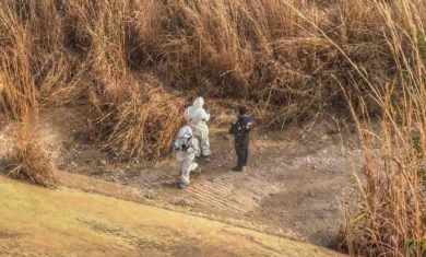 87BFFFD7-5CF0-4B42-B634-9E0DC5BECBC7