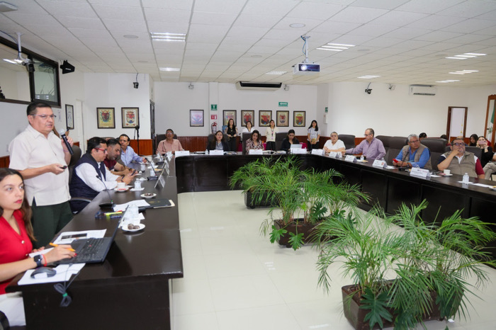 Analiza IEPC acciones para garantizar el derecho a la información pública