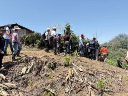 9EC781DB-8F03-436C-856D-D96E6B41FDED