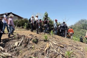 9EC781DB-8F03-436C-856D-D96E6B41FDED