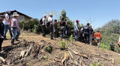 9EC781DB-8F03-436C-856D-D96E6B41FDED