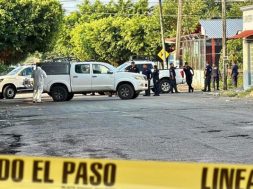 AC0C7DDB-7E96-40C8-A4E5-F4B8E3A7D01C