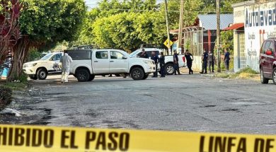 AC0C7DDB-7E96-40C8-A4E5-F4B8E3A7D01C