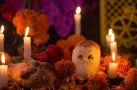 AF6D0823-2A00-4354-9DC8-147EEC7DD76E