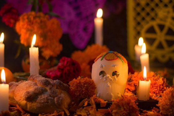 AF6D0823-2A00-4354-9DC8-147EEC7DD76E