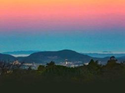 AF9C97F9-39CC-41C8-87E3-577923D7FD54