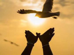 C65E8848-49A2-43AF-8D92-9F17DB3BCC4E