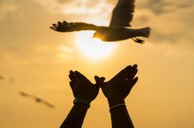 C65E8848-49A2-43AF-8D92-9F17DB3BCC4E