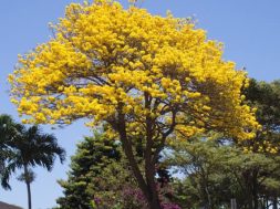 E9746C4E-4F15-4A0D-BC67-9C878ED34A97