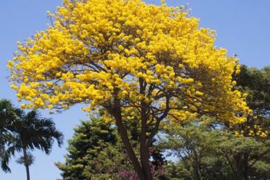 E9746C4E-4F15-4A0D-BC67-9C878ED34A97