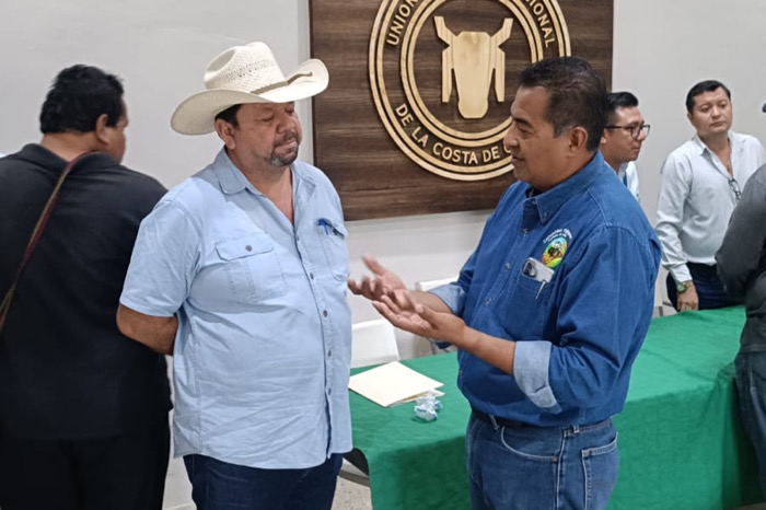 La presencia social, nos da presencia politica: VRL