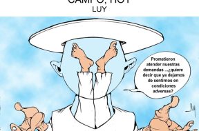 25EA43D4-E125-44A8-A100-1C829F714356