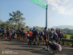 32809B8A-8567-453C-A9C7-EBA7117741A3