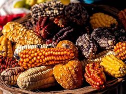 62B44DD9-BBC0-4006-841A-2AB1332184EE