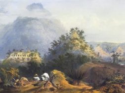 7D394F3A-08A7-4D08-ACE4-B8156E383693