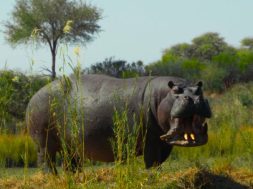 7FB2AC59-4630-4E47-B894-642763109D93