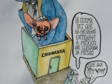 8B54366D-6CC6-4391-BA77-67940AAD6D92