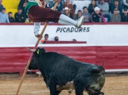 9A3E0F6D-2EA6-48CF-A224-A894E736D71E