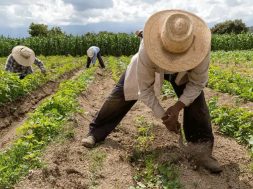 ACC4DF75-914D-454D-AD71-73C446CA942A