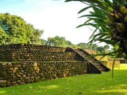 C4A943B3-5DD2-4287-A93B-1F048C226AA3