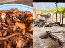 CC5E36D0-E33F-4036-902B-3B19518161A3