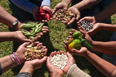 F4DEC3CB-DE4B-4E0A-86E4-B8F9AEE9B2BF